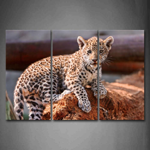 Brown Leopard Stand On Rock Wall Art Painting The Picture Print On Canvas Animal Pictures For Home Decor Decoration Gift 