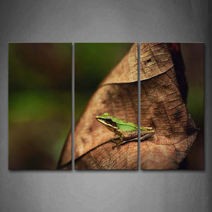 Green Frog Sit On Leaf Wall Art Painting The Picture Print On Canvas Animal Pictures For Home Decor Decoration Gift 