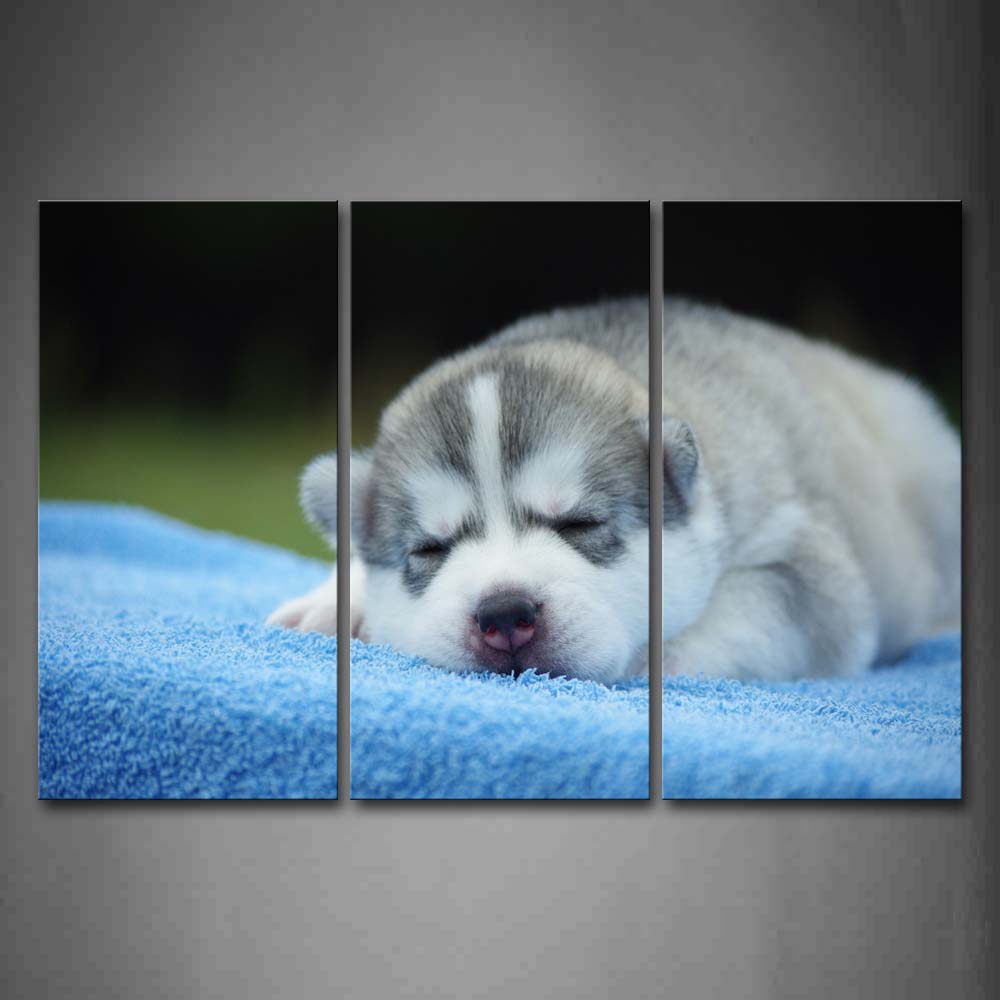 White Dog Sleep On Blue Blanket  Wall Art Painting Pictures Print On Canvas Animal The Picture For Home Modern Decoration 