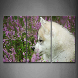 White Dog Sit Among Flowers Wall Art Painting The Picture Print On Canvas Animal Pictures For Home Decor Decoration Gift 