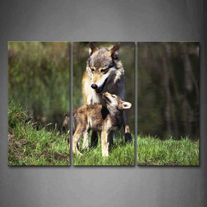 Two Wolves Stand On Grass Wall Art Painting Pictures Print On Canvas Animal The Picture For Home Modern Decoration 