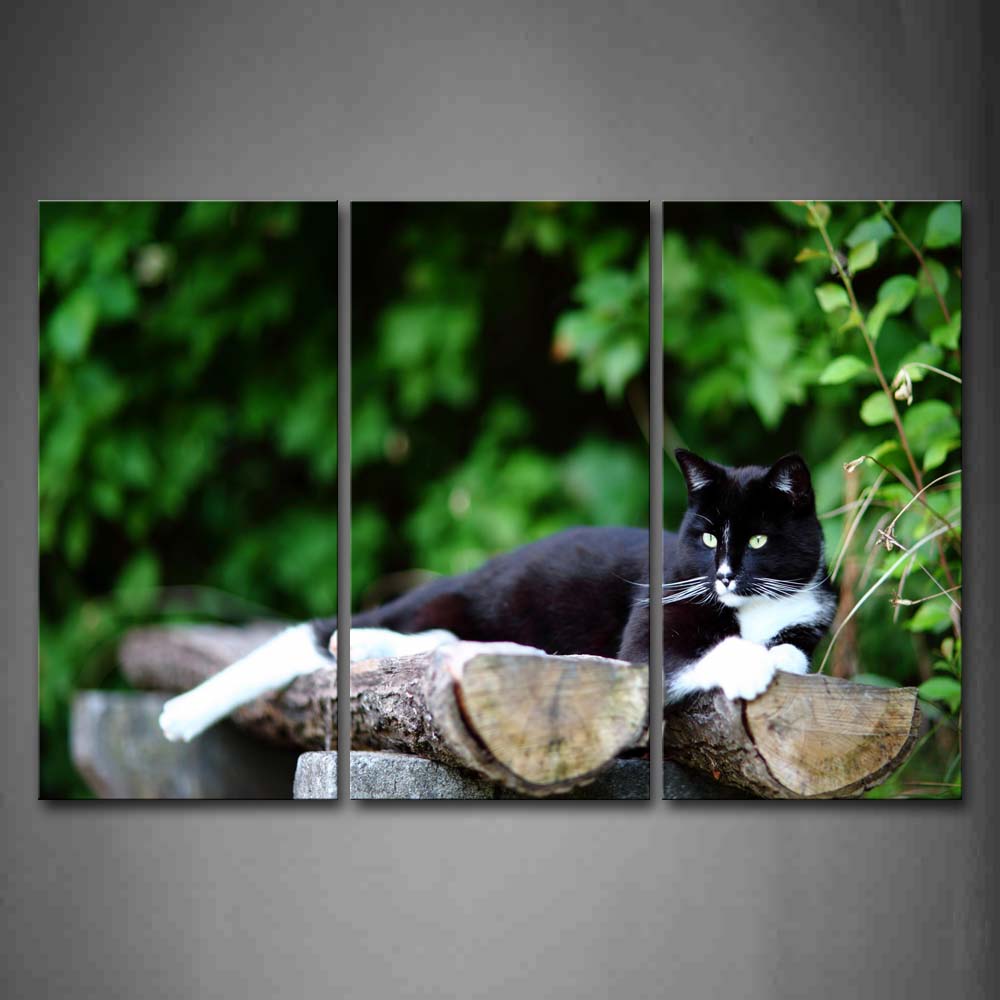 Black Cat Lie On Wood Near Tree Wall Art Painting The Picture Print On Canvas Animal Pictures For Home Decor Decoration Gift 