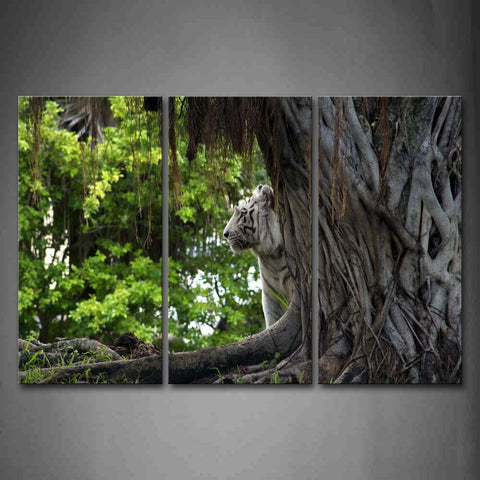 White Tiger Stand By A Tree Wall Art Painting Pictures Print On Canvas Animal The Picture For Home Modern Decoration 