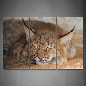 Lynx Sleep On Soil Wall Art Painting The Picture Print On Canvas Animal Pictures For Home Decor Decoration Gift 