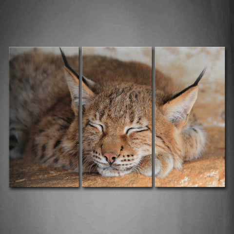 Lynx Sleep On Soil Wall Art Painting The Picture Print On Canvas Animal Pictures For Home Decor Decoration Gift 