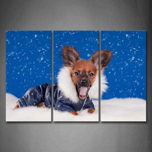 Brown Dog Wear Blue Clothes On Snowfeild Wall Art Painting Pictures Print On Canvas Animal The Picture For Home Modern Decoration 