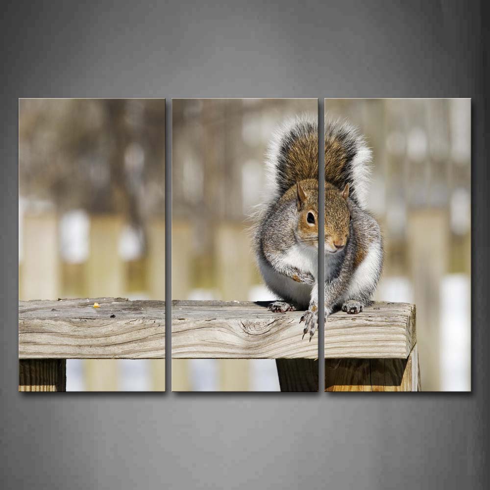 Squirrel Stand On Wooden Bench Wall Art Painting The Picture Print On Canvas Animal Pictures For Home Decor Decoration Gift 