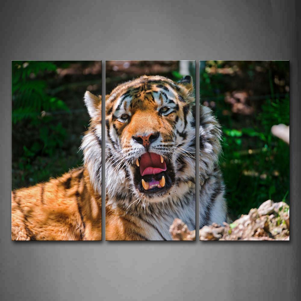 Tiger Sit Near A Rock With Mouth Open Wall Art Painting Pictures Print On Canvas Animal The Picture For Home Modern Decoration 