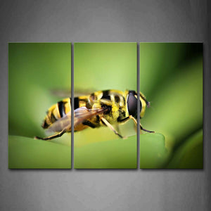 Yellow Bee Stand On Leaf With Wings Open Wall Art Painting The Picture Print On Canvas Animal Pictures For Home Decor Decoration Gift 