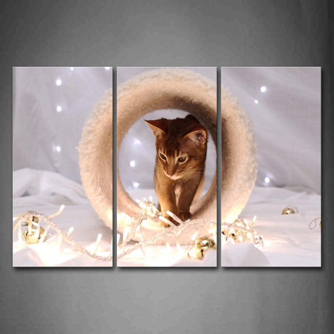 Brown Cat Walk On Circle Near Bell Wall Art Painting Pictures Print On Canvas Animal The Picture For Home Modern Decoration 