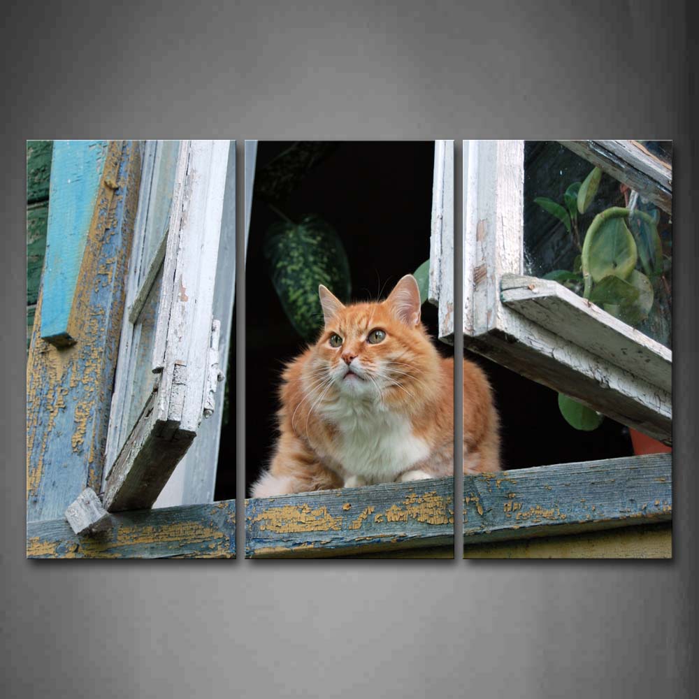 Yellow Cat Sit On Windowsill With Windows Open Wall Art Painting Pictures Print On Canvas Animal The Picture For Home Modern Decoration 