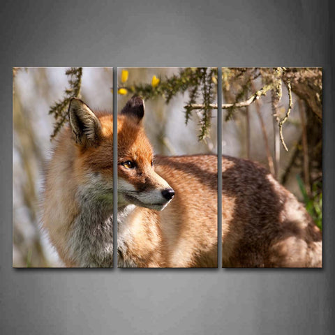 Yellow Fox Stand Near Tree Wall Art Painting The Picture Print On Canvas Animal Pictures For Home Decor Decoration Gift 