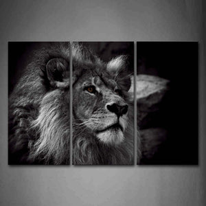 Black And White Gray Lion Head Portrait Wall Art Painting Pictures Print On Canvas Animal The Picture For Home Modern Decoration 