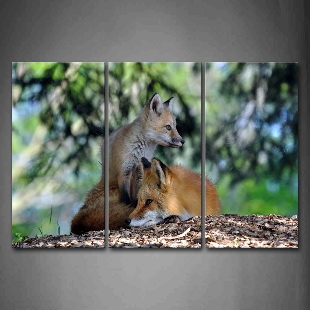 Two Foxes Lie On Land Near Tree Wall Art Painting Pictures Print On Canvas Animal The Picture For Home Modern Decoration 