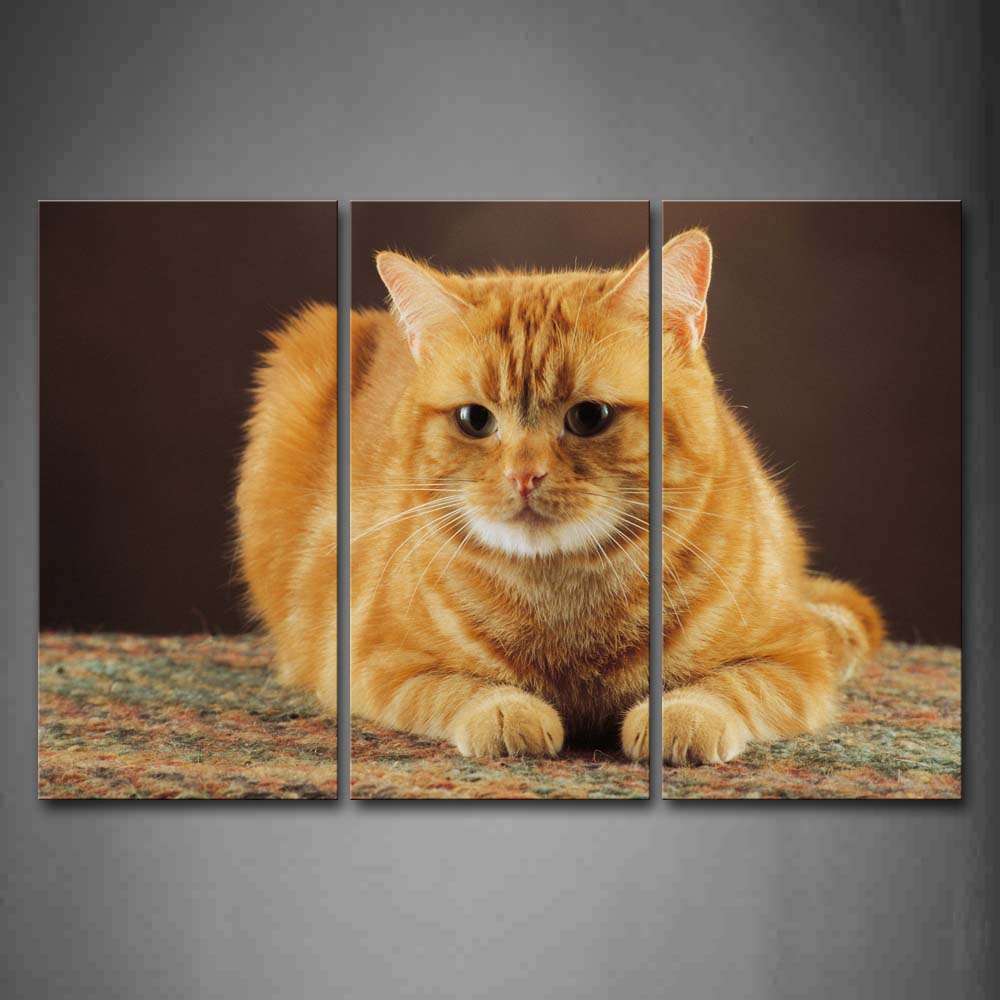 Yellow Cat Sit On Floor Wall Art Painting The Picture Print On Canvas Animal Pictures For Home Decor Decoration Gift 