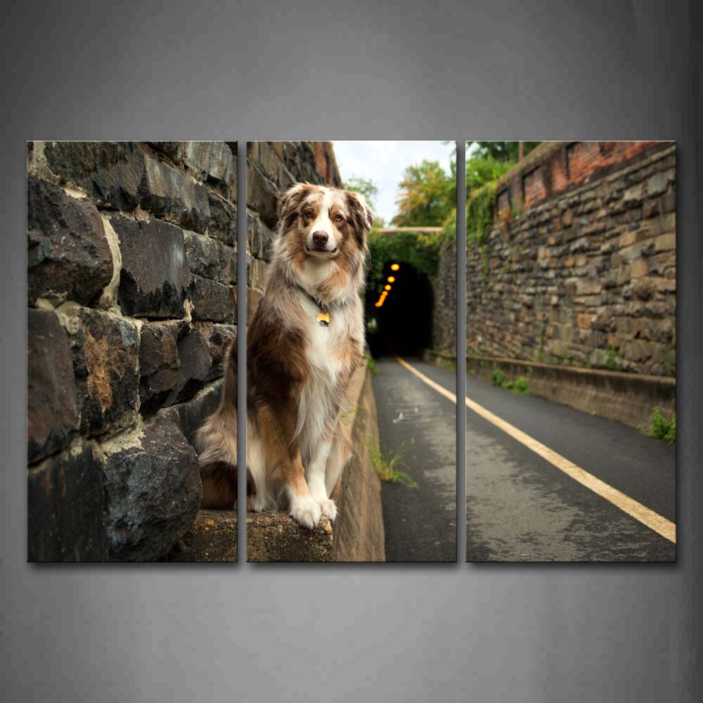 Brown Dog Sit On Stone By Stones Wall Wall Art Painting Pictures Print On Canvas Animal The Picture For Home Modern Decoration 