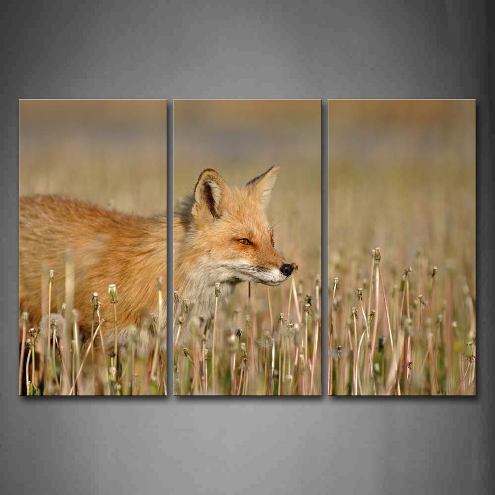 Fox Stand Among High Grass Wall Art Painting Pictures Print On Canvas Animal The Picture For Home Modern Decoration 