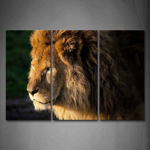 Lion Head Portrait Wall Art Painting The Picture Print On Canvas Animal Pictures For Home Decor Decoration Gift 