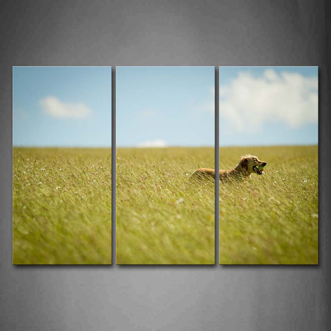 Yellow Dog Stand Among Grass Wall Art Painting Pictures Print On Canvas Animal The Picture For Home Modern Decoration 