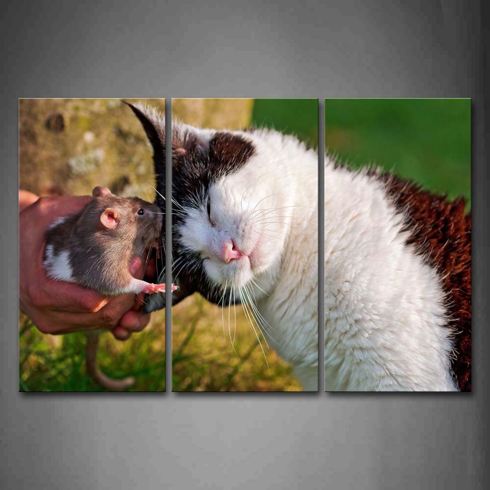 A Mouse Kiss A White Cat'S Head Wall Art Painting Pictures Print On Canvas Animal The Picture For Home Modern Decoration 