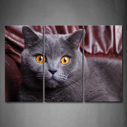 Gray Cat Head Portrait Wall Art Painting The Picture Print On Canvas Animal Pictures For Home Decor Decoration Gift 