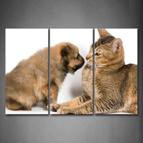 Cute Dog And Cute Cat At White Background Wall Art Painting Pictures Print On Canvas Animal The Picture For Home Modern Decoration 