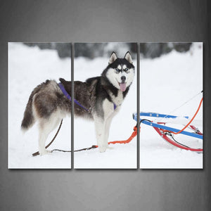 Black Dog Play On Snowfield Wall Art Painting Pictures Print On Canvas Animal The Picture For Home Modern Decoration 