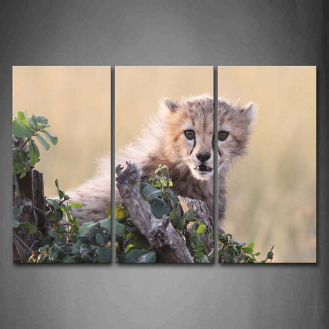 Cheetah Stand Near Woods Wall Art Painting The Picture Print On Canvas Animal Pictures For Home Decor Decoration Gift 