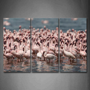 Flamingos Stand In Water  Wall Art Painting The Picture Print On Canvas Animal Pictures For Home Decor Decoration Gift 