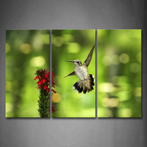 Bird Fly Near Red Flowers Wall Art Painting Pictures Print On Canvas Animal The Picture For Home Modern Decoration 