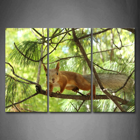 Yellow Squirrel Stand On Branch With Leaves Wall Art Painting Pictures Print On Canvas Animal The Picture For Home Modern Decoration 