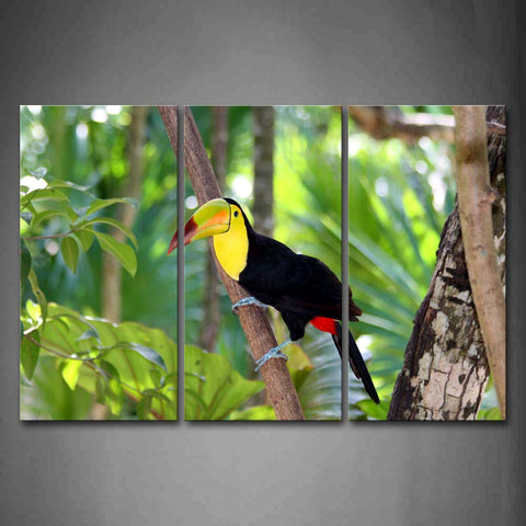 Black Toucan Stand On Tree  Wall Art Painting The Picture Print On Canvas Animal Pictures For Home Decor Decoration Gift 