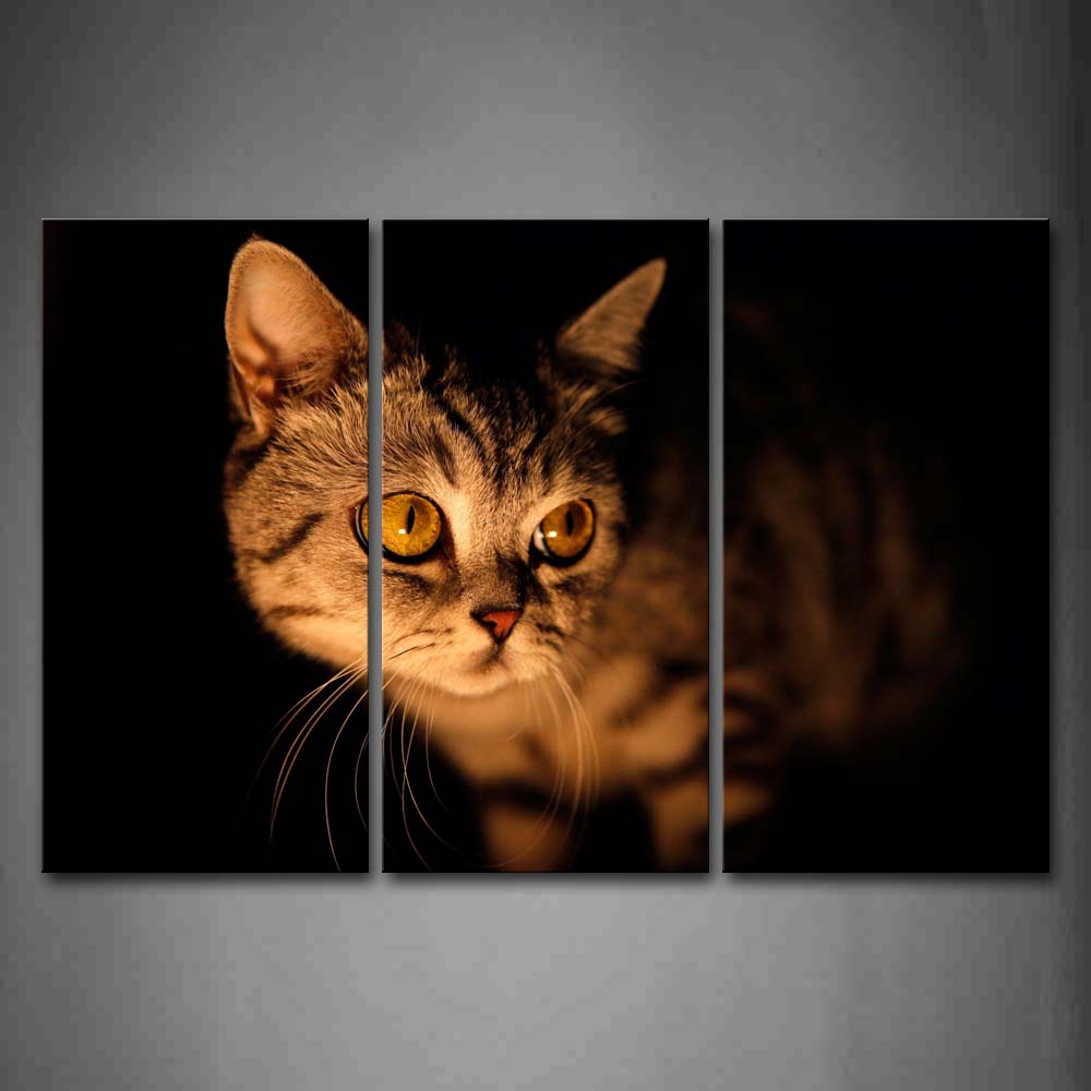 Cat At The Black Background Wall Art Painting The Picture Print On Canvas Animal Pictures For Home Decor Decoration Gift 