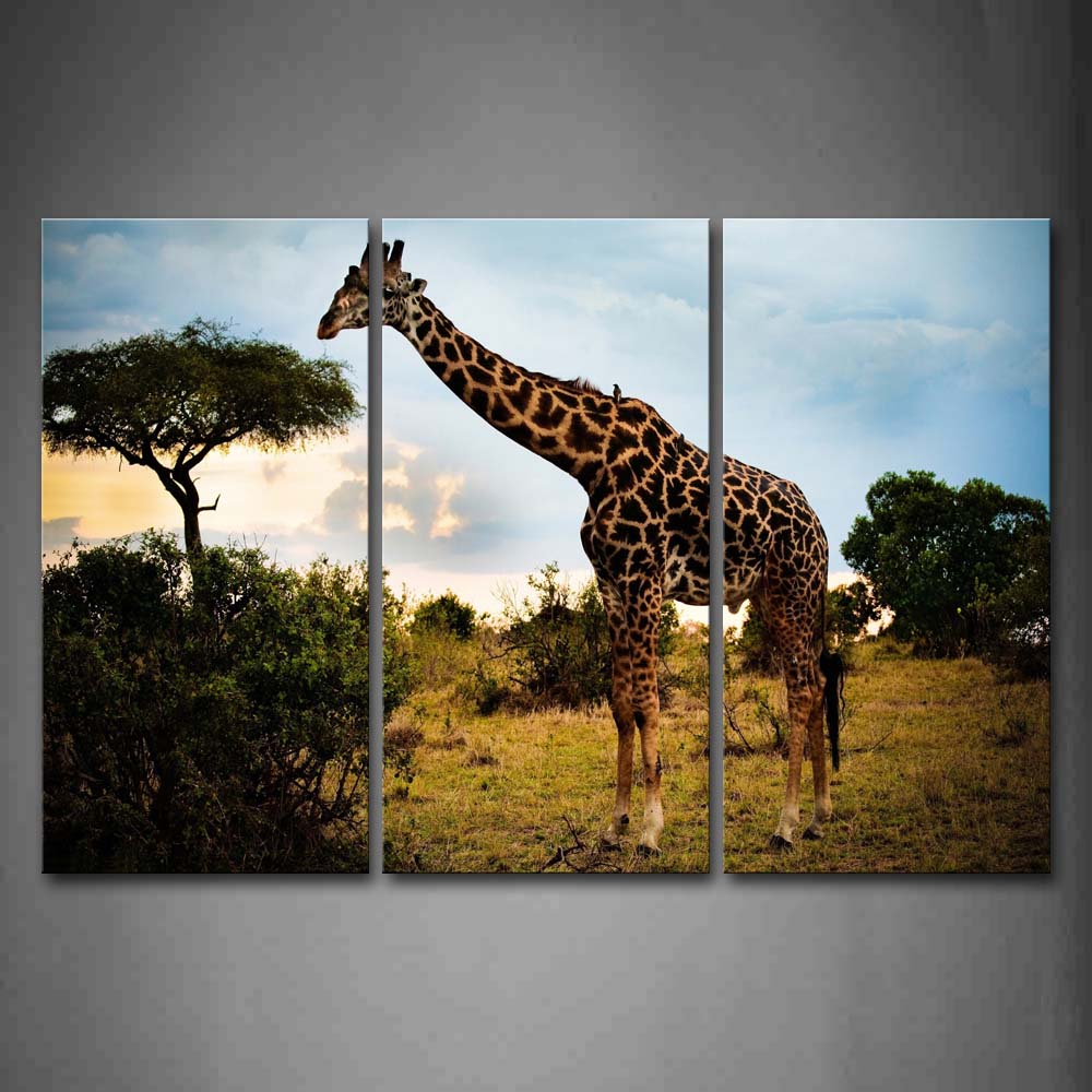 Giraffe Eat Leaves In Forest Wall Art Painting Pictures Print On Canvas Animal The Picture For Home Modern Decoration 