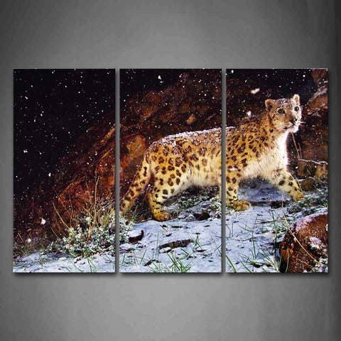 Leopard Walk On Mountant Snowing Wall Art Painting The Picture Print On Canvas Animal Pictures For Home Decor Decoration Gift 