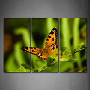 Butterfly Stand On Branch With Leaves Wall Art Painting Pictures Print On Canvas Animal The Picture For Home Modern Decoration 