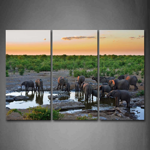 Elephants Stand On The River Near Trees Wall Art Painting Pictures Print On Canvas Animal The Picture For Home Modern Decoration 