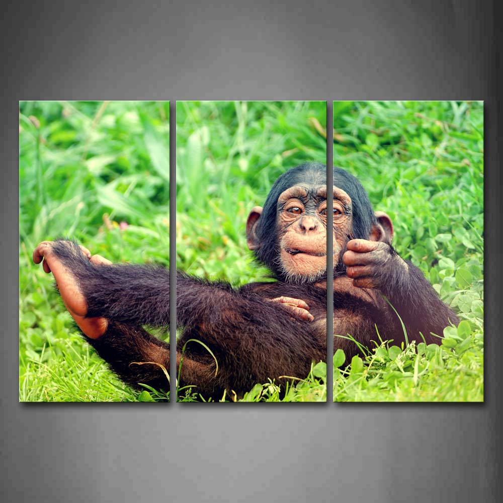 Chimpanzee Lie On The Grass Wall Art Painting The Picture Print On Canvas Animal Pictures For Home Decor Decoration Gift 