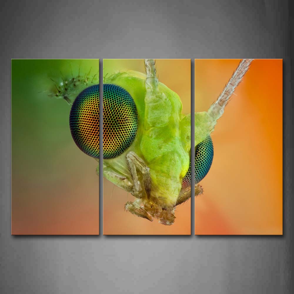 Green Insect At Orange Background Wall Art Painting Pictures Print On Canvas Animal The Picture For Home Modern Decoration 