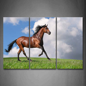 Brown Horse Walk On Grass Wall Art Painting Pictures Print On Canvas Animal The Picture For Home Modern Decoration 