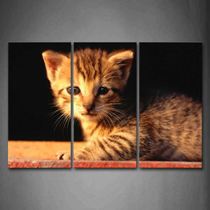 Cute Cat Lie On The Floor  Wall Art Painting The Picture Print On Canvas Animal Pictures For Home Decor Decoration Gift 