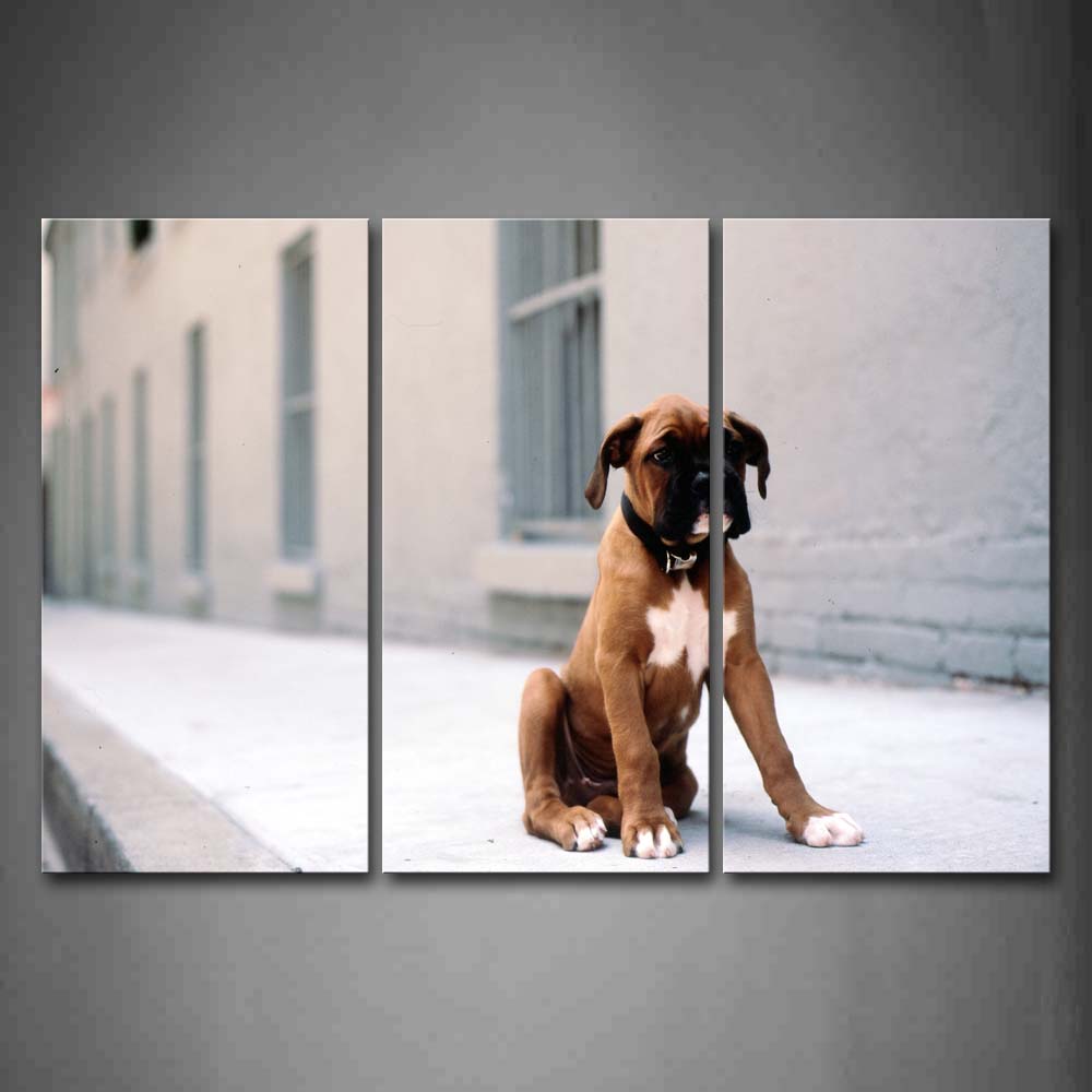 Yellow Dog Sit On Floor Near Window Wall Art Painting Pictures Print On Canvas Animal The Picture For Home Modern Decoration 