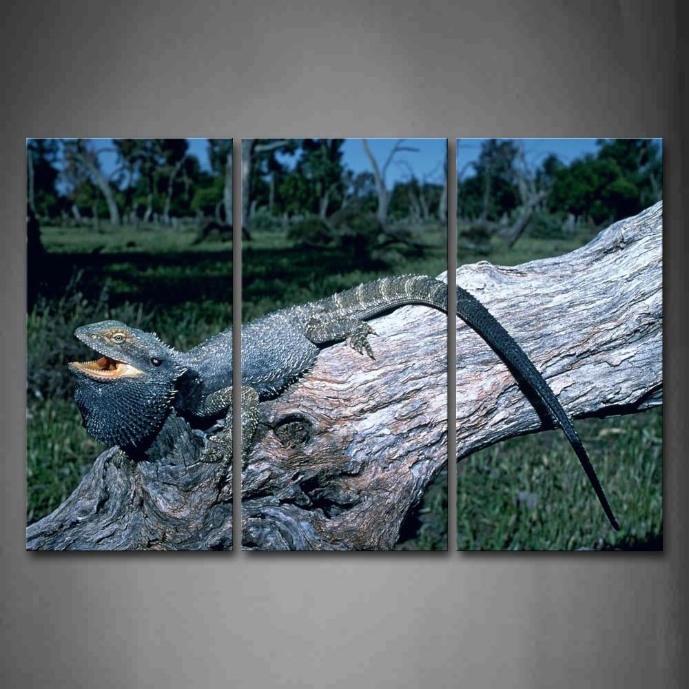 Black Bearded Dragon Stay On Dry Wood Wall Art Painting Pictures Print On Canvas Animal The Picture For Home Modern Decoration 