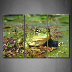 Frog Stay On Lotus Leaf Above Water Wall Art Painting The Picture Print On Canvas Animal Pictures For Home Decor Decoration Gift 