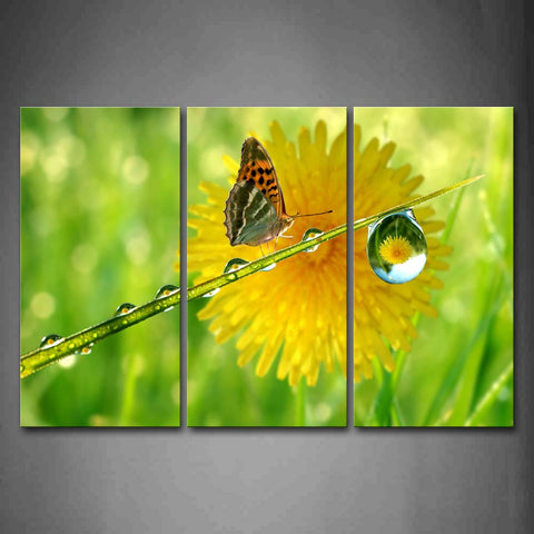 Butterfly Stay On Leaf With Dewdrop Near Flower Wall Art Painting Pictures Print On Canvas Animal The Picture For Home Modern Decoration 