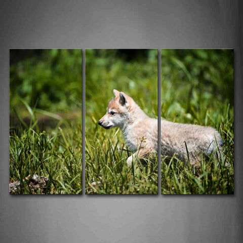 Little Wolf Walk In Grass Wall Art Painting The Picture Print On Canvas Animal Pictures For Home Decor Decoration Gift 