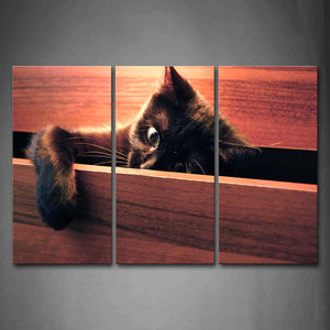 Black Hide In Brown Drawer Wall Art Painting The Picture Print On Canvas Animal Pictures For Home Decor Decoration Gift 