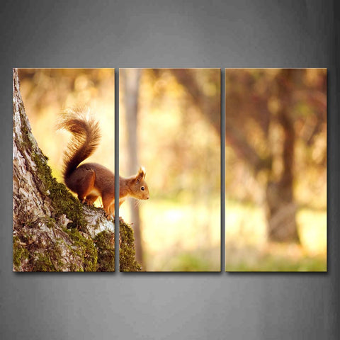 Brown Squirrel Stand On A Trunk Wall Art Painting The Picture Print On Canvas Animal Pictures For Home Decor Decoration Gift 