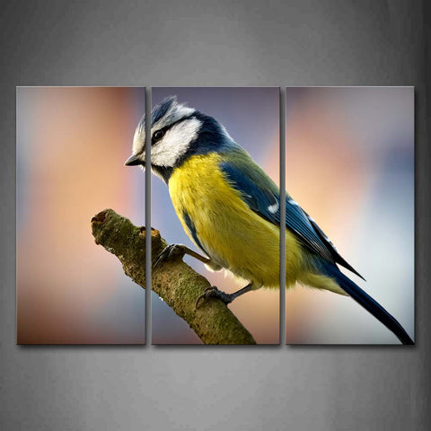 Yellow Bird Stand On Branch Wall Art Painting Pictures Print On Canvas Animal The Picture For Home Modern Decoration 