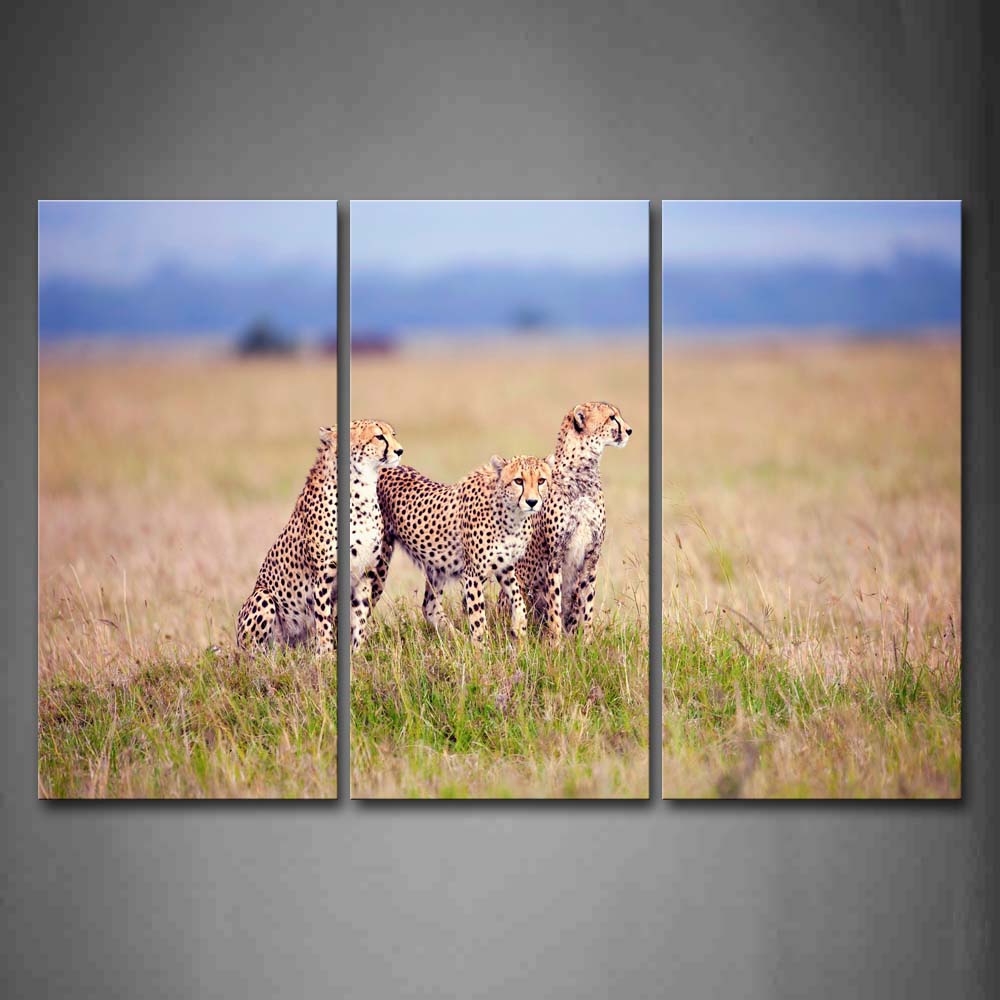 Three Cheetahs Stand In Grass  Wall Art Painting The Picture Print On Canvas Animal Pictures For Home Decor Decoration Gift 